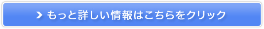 pЂ(Y)XLPAN[ mCX(NOISU)̔TCg